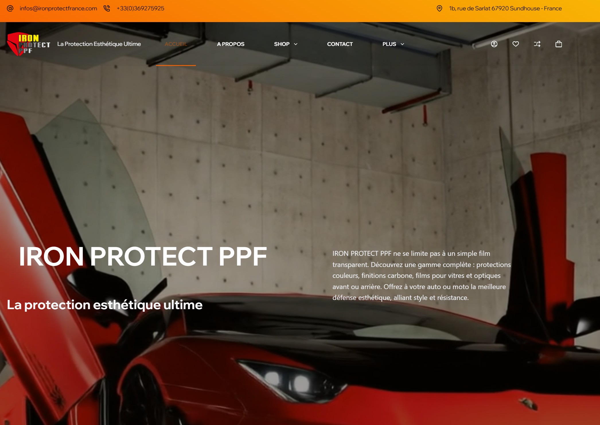 Logo Iron Protect France Film PPF